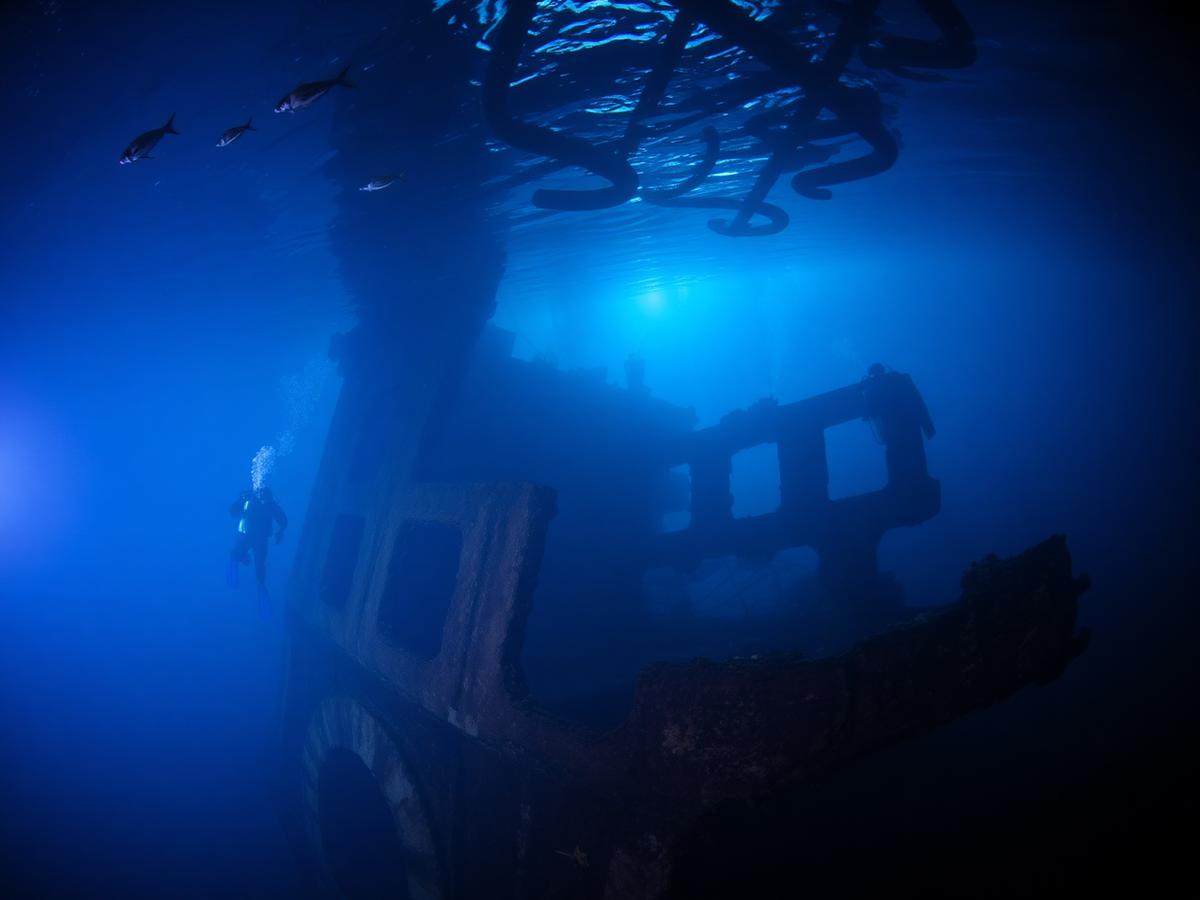 Wall & Wreck Day · Bira